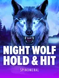 night wolf hold and hit - logo